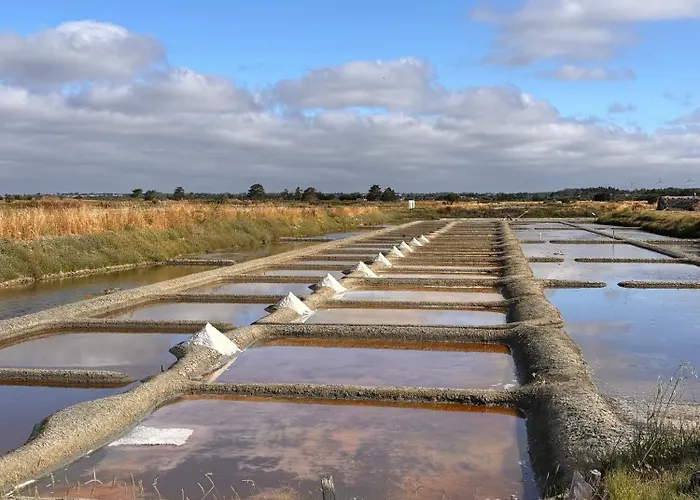 New House With Garden - Beaches 11 Min Away 度假居 莱居永叙尔维